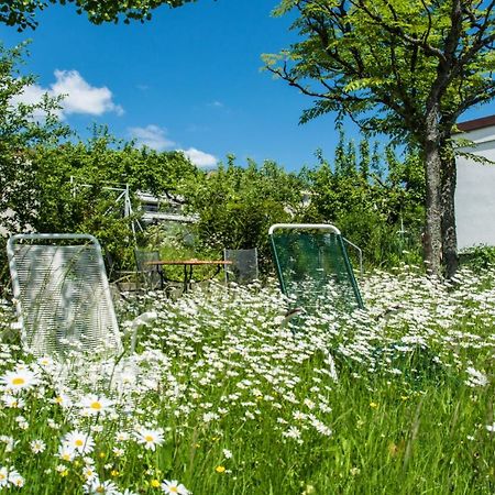 Villa Spahn 바트키싱엔 외부 사진